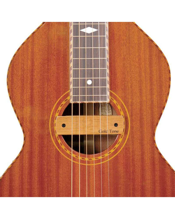 Gold Tone Weissenborn Pickup